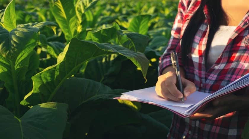 For direct admission to BSc in Agriculture; apply at cetcell.mahacet.org. (Representational image: Freepik)